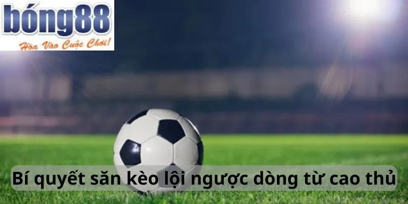 Bí quyết săn kèo lội ngược dòng từ cao thủ tại Bong88