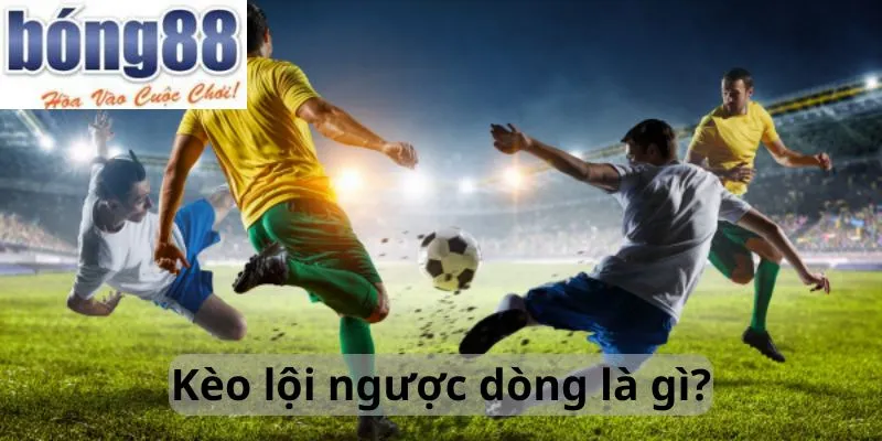 Kèo lội ngược dòng là gì?