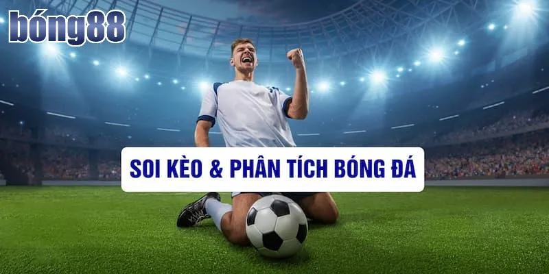 Các giải đấu hot để nhận định, soi kèo bóng đá