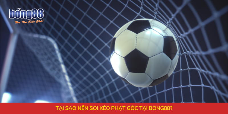 Tại sao nên soi kèo phạt góc tại Bong88?